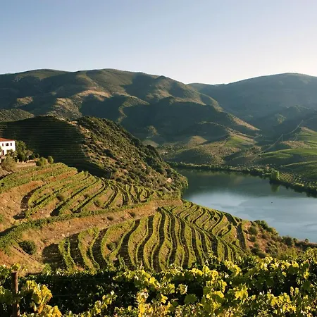 Farm stay Auri Vila Nova de Foz Coa